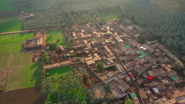 Aerial Over Village Town Surrounded By Date Groves In Sindh. Circle Dolly