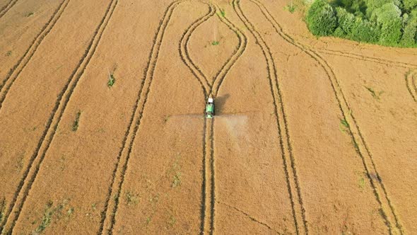 Rural Tractor Sprays Fertilizer Over Field Of Growing Rapeseed In Summer Season