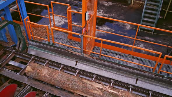 Sawmill factory. Wood processing plant. Top view on a tree trunk on power-saw bench outdoors.