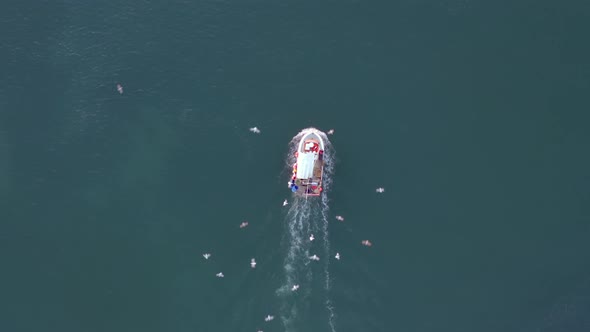 A Small Fishing Boat Being Flocked By Seagulls