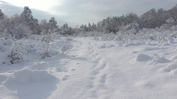 Path under snow by early morning 4K drone video