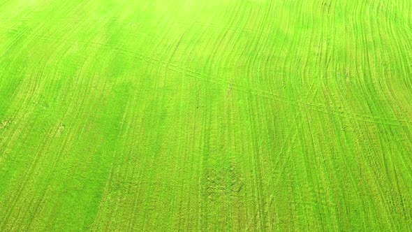 Aerial view agricultural green field. Aerial fly over agricultural land. 