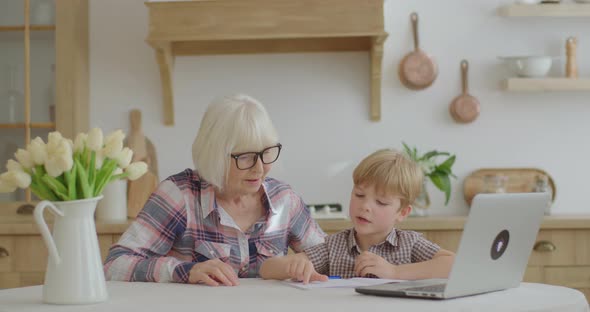 60s Grandmother Making Online Homework with Preschool Grandson at Home, Senior Woman in Glasses and