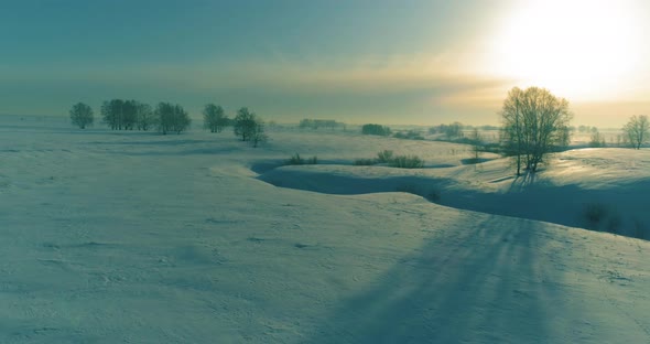 Aerial View of Cold Winter Landscape Arctic Field Trees Covered with Frost Snow Ice River and Sun