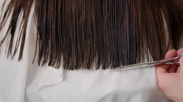 Handheld video shows of long hair cut by hairdresser. Shot with RED helium camera 