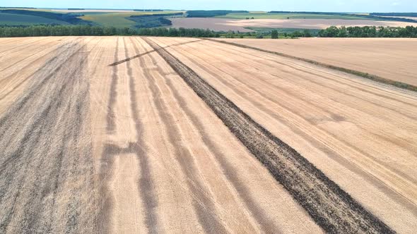 Aerial Shot of Large Wheat Field or Farmland After Harvesting. Beautiful Countryside Landscape