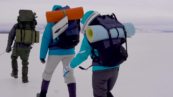 Group of Tourists Is Trekking in Mountains in Winter Day, Carrying Backpacks and Pushing Off By