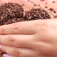 Woman Hand Pick Up Brigadeiro Brazilian Chocolate Dessert - VideoHive Item for Sale