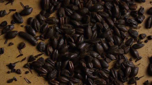 Rotating shot of barley and other beer brewing ingredients 