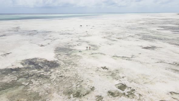 Ocean Low Tide Near the Coast of Zanzibar Island Tanzania