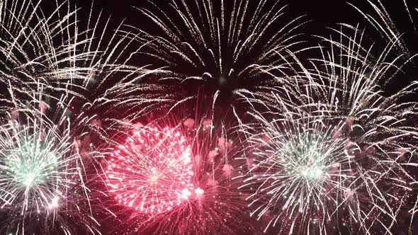 Colorful Fireworks Exploding in the Night Sky