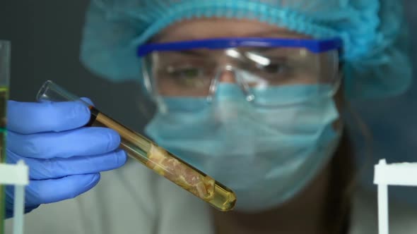 Lab Worker Checking Meat Sample in Test Tube, Typing Research Result on Tablet