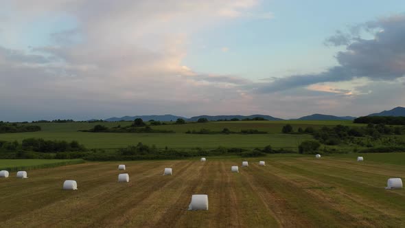 Aerial View On Farm Fields With Baled Hay 7