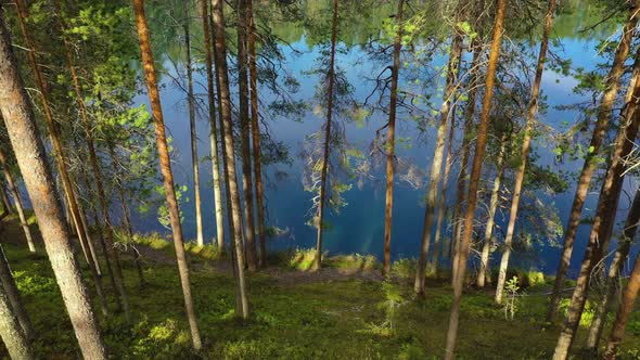 Lake and Forest in Finland. Beautiful Nature of Finland