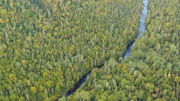 Aerial footage ZOOMING IN on a river in the forest