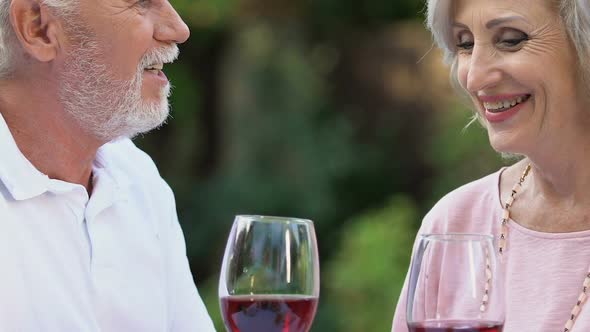 Senior Couple Smiling, Clinking Glasses and Drinking Wine, Long Lasting Marriage