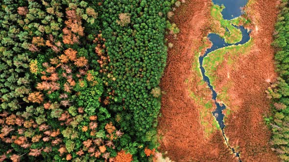 Top down view of river and swamps in autumn