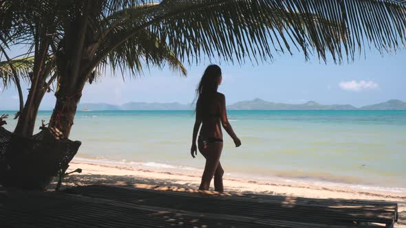 Slow Motion Ocean Beach Woman Relax on Lounger at Palm Shadow