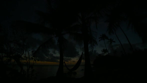 Puerto Rico sunrise with hammock and palm trees.