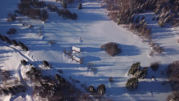 Aerial View of the Winter Snowy Landscape with Meadows and Trees and Cottages