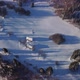 Aerial View of the Winter Snowy Landscape with Meadows and Trees and Cottages - VideoHive Item for Sale
