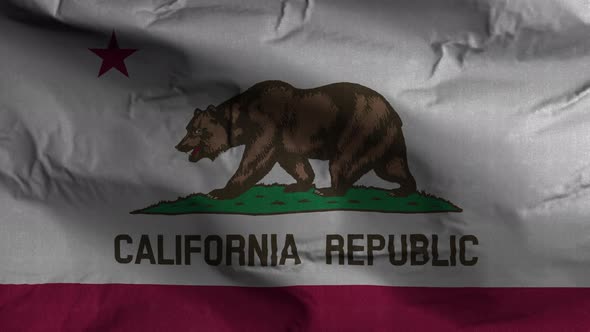 California State Flag 4K