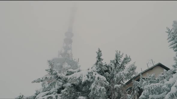 Radio tower on foggy winter day.