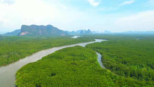 Drones are flying over winding rivers and large mangrove forests