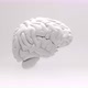 A spinning brain - VideoHive Item for Sale