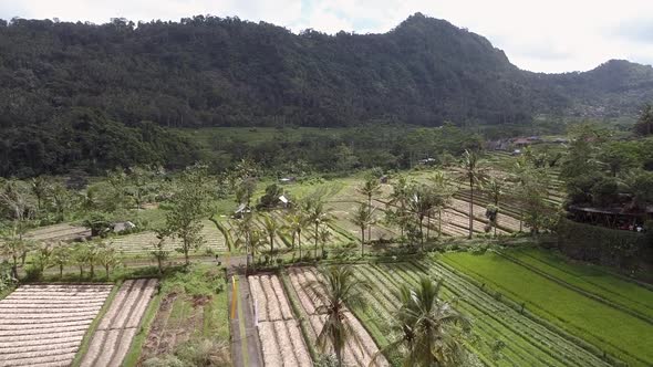 Aerial view of agricultural fields in the countryside, Indonesia.