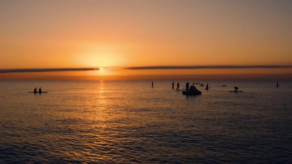 Silhouette of People Training Stand up Paddle at Sunrise