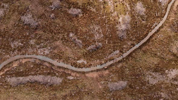 People Walking On Mountain Path Deforestation, Trees Cut Down, Isle Of Skye, Bird's Eye View