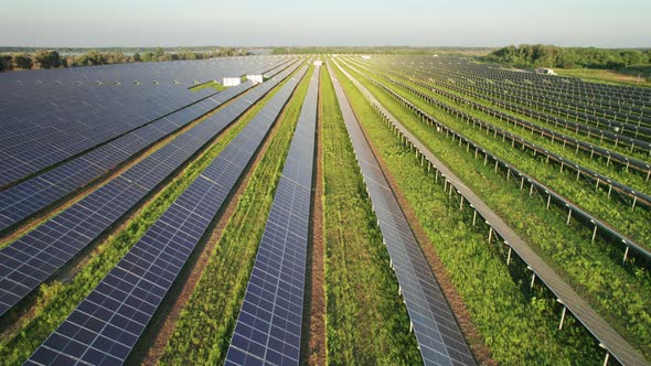 Aerial View of Solar Farm on the Green Field at Sunset Time Solar Panels in Row