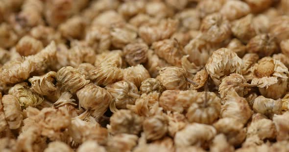 Herbal tea, dry Chrysanthemum