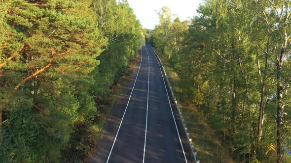 Aerial View From Drone on Asphalt Road at the Forest