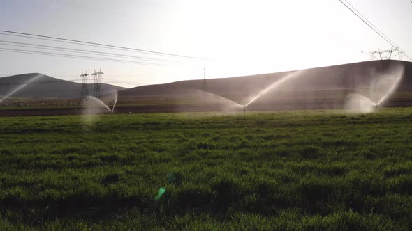 Automatic Field Irrigation