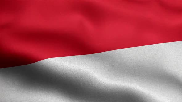 Indonesia Flag Seamless Closeup Waving Animation