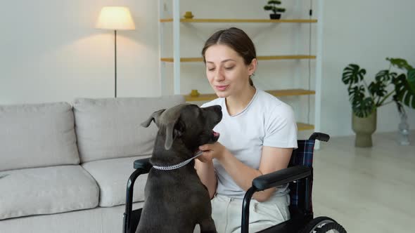 Young Girl in a Wheelchair Petting Her Dog in a Bright Room