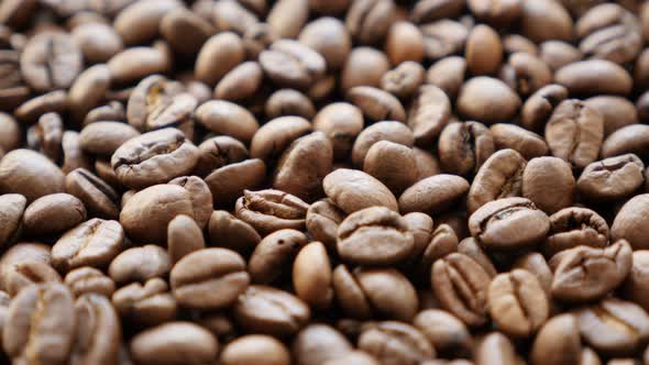 Arabica type coffee beans roasted and arranged slow tilt 4K 2160p 30fps UHD footage - High quality e