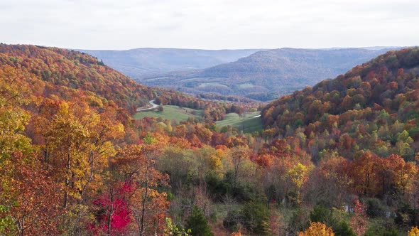 Beautiful Aerial of Fall Trees in the Mountains