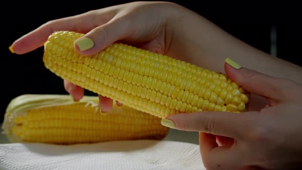 Corn Harvest