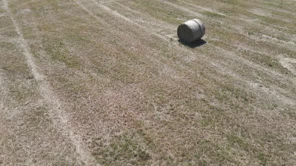 Many bales of hay on the field