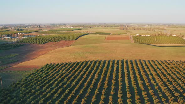 4K Fields Aerial