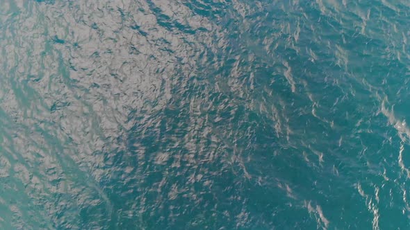 Top-down View of the Sea Waves