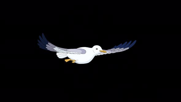 Seagull flies 4K alpha mate