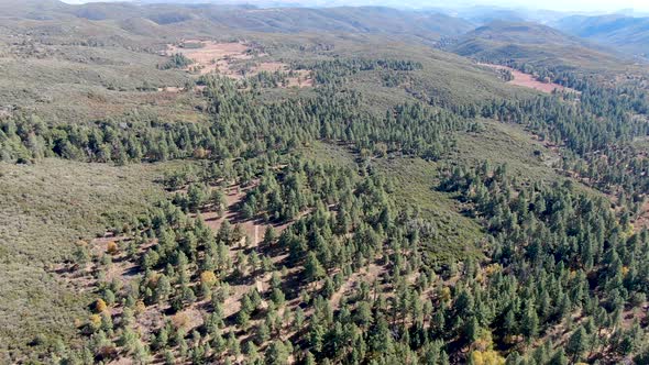 Pine Valley During Dry Fall Season, California