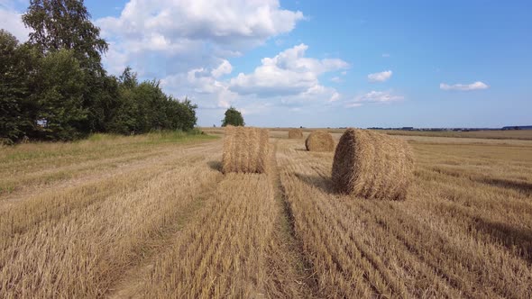 View of a Field with Cut Grain