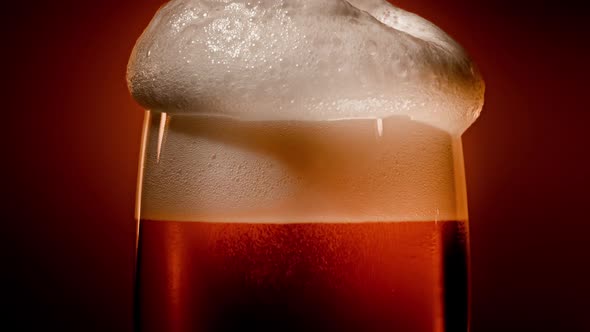 Lager Beer Settles in the Glass with a White Cap of Foam