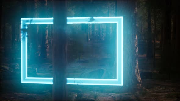 Neon Glowing Rectangle Frame in the Night Forest