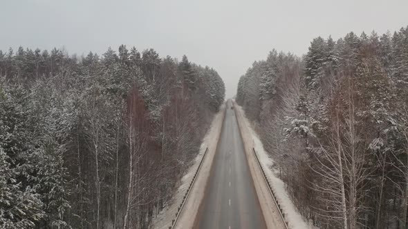 Landscape with a Forest Road Through a Coniferous Forest, a Mountain Ridge Hidden By Thick Clouds